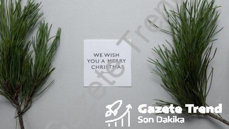 Merry Christmas SVG: Sevdiklerinizi Şaşırtacak Şık ve Trendi Merry Christmas SVG Tasarımları