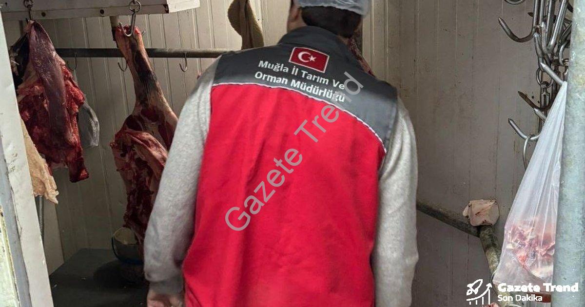 "Menteşe’de Gıda Güvenliği Seferberliği: Kasaplara Sıkı Takip" başlıklı haber için fotorealistik, pr