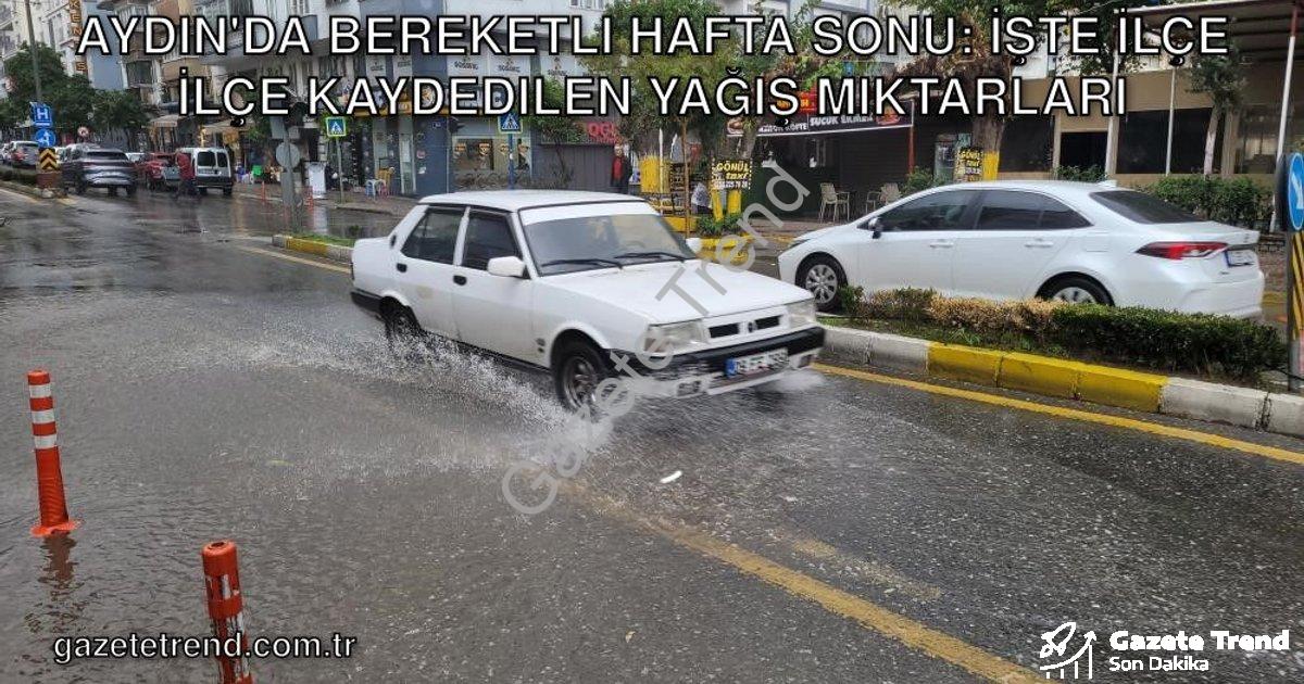 "Aydın'da Bereketli Hafta Sonu: İşte İlçe İlçe Kaydedilen Yağış Miktarları" başlıklı haber için foto
