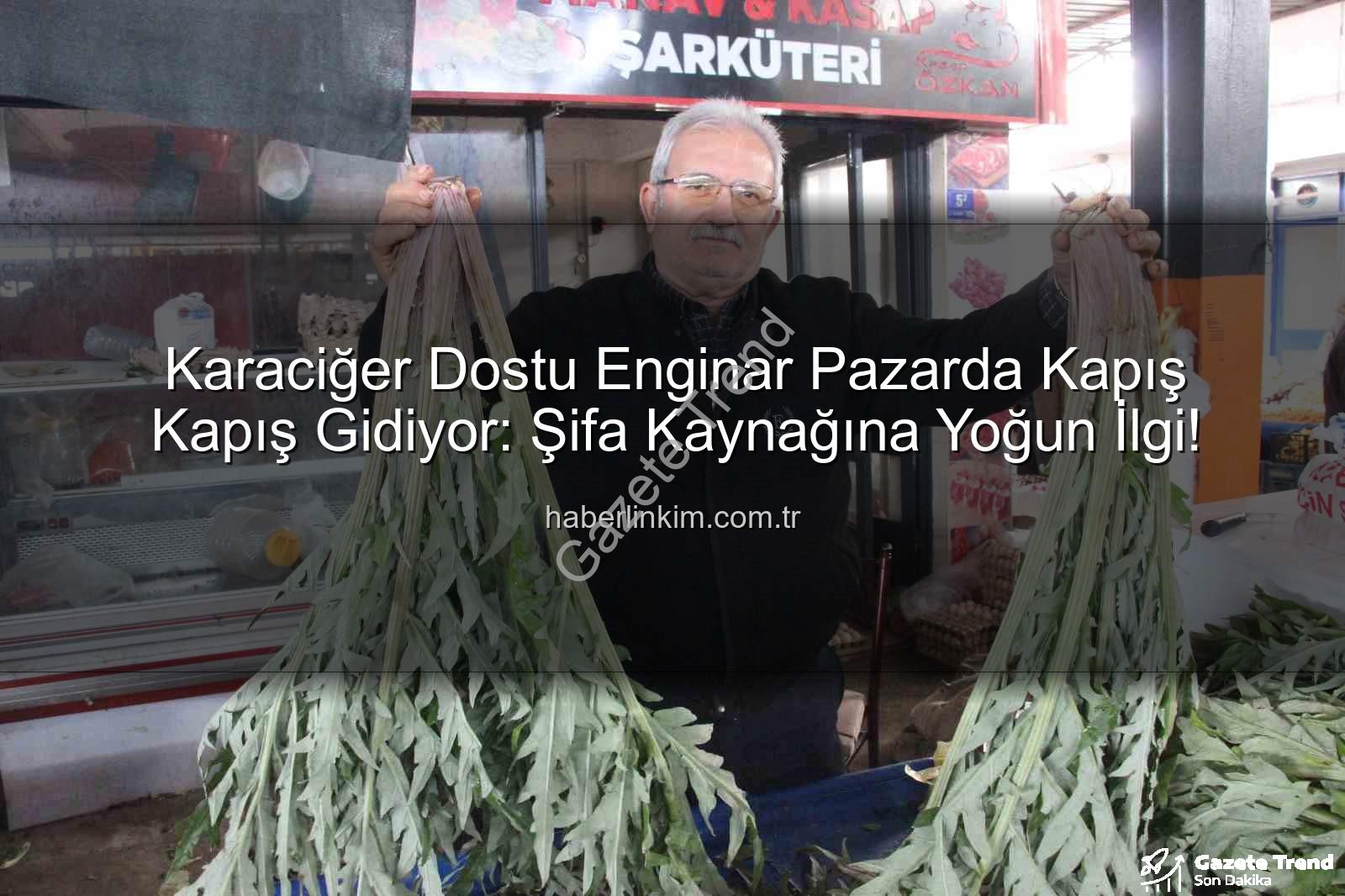 karaciğer dostu enginar - Karaciğerin Yeniden Doğuşu: Enginar Pazarda Yok Satıyor! Şifa Kaynağına Yoğun İlgi