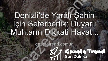 Denizli’de Yaralı Şahin İçin Seferberlik: Duyarlı Muhtarın Dikkati Hayat Kurtardı