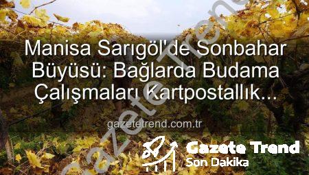 Manisa Sarıgöl’de Sonbahar Büyüsü: Bağlarda Budama Çalışmaları Kartpostallık Manzaralar Eşliğinde Sürüyor