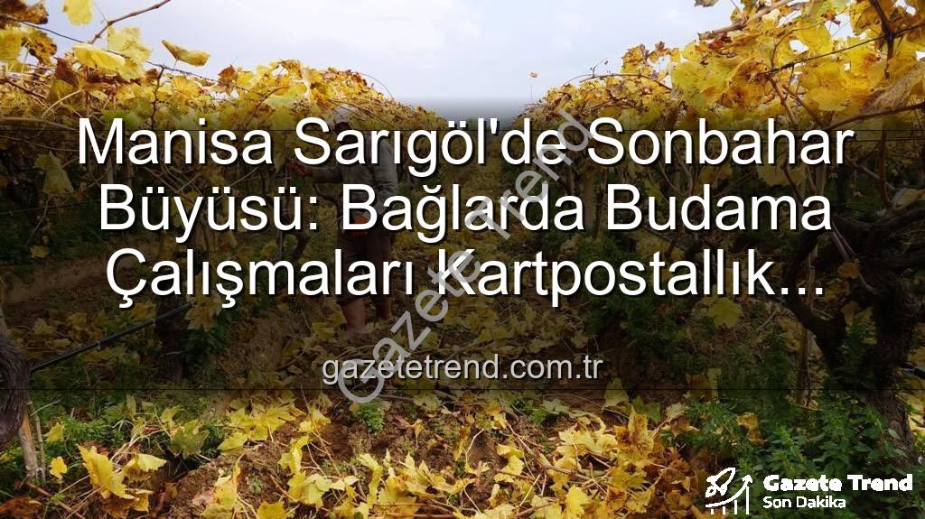 Sarıgöl bağları - Manisa Sarıgöl'de Sonbahar Büyüsü: Bağlarda Budama Çalışmaları Kartpostallık Manzaralar Eşliğinde Sürüyor