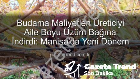 Budama Maliyetleri Üreticiyi Aile Boyu Üzüm Bağına İndirdi: Manisa’da Yeni Dönem