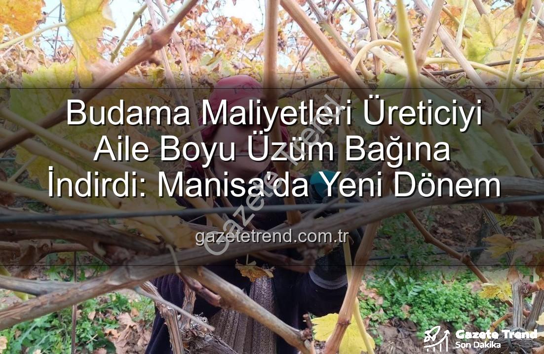 üzüm budama maliyeti - Budama Maliyetleri Üreticiyi Aile Boyu Üzüm Bağına İndirdi: Manisa'da Yeni Dönem