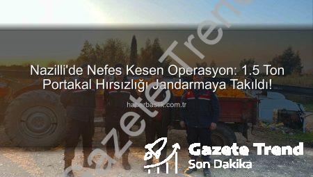 Nazilli’de Nefes Kesen Operasyon: 1,5 Ton Portakal Hırsızlığı Jandarmaya Takıldı, Şüpheliler Yakalandı