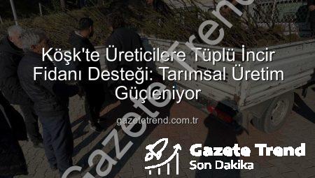 Köşk’te Üreticilere Tüplü İncir Fidanı Desteği: Tarımsal Üretim Güçleniyor