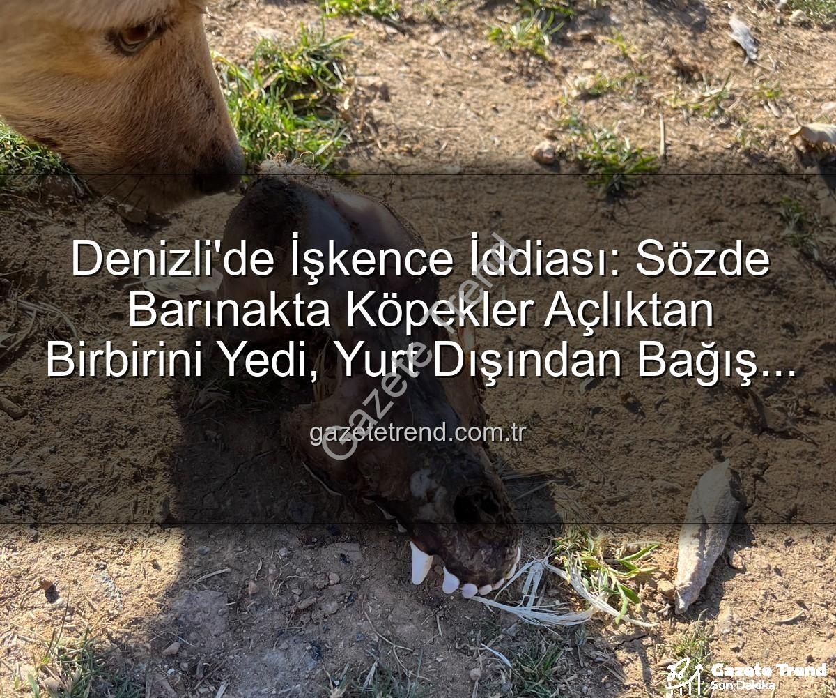 hayvan istismarı - Denizli'de İşkence İddiası: Sözde Barınakta Köpekler Açlıktan Birbirini Yedi, Yurt Dışından Bağış Toplanmış!