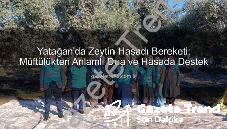 Yatağan’da Zeytin Hasadı Bereketi: Müftülükten Anlamlı Dua ve Hasada Destek