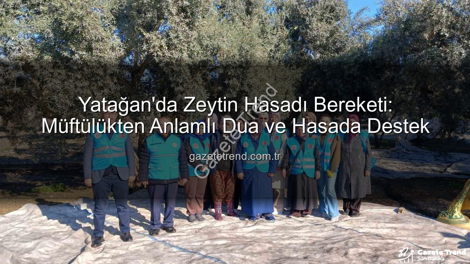 Yatağan zeytin hasadı - Yatağan'da Zeytin Hasadı Bereketi: Müftülükten Anlamlı Dua ve Hasada Destek