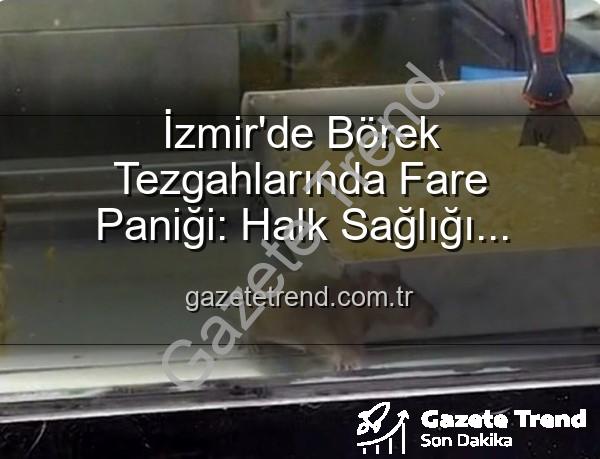 börek tezgahlarında fare - İzmir'de Börek Tezgahlarında Fare Paniği: Halk Sağlığı Tehlikeye Girdi, İşletme Mühürlendi!