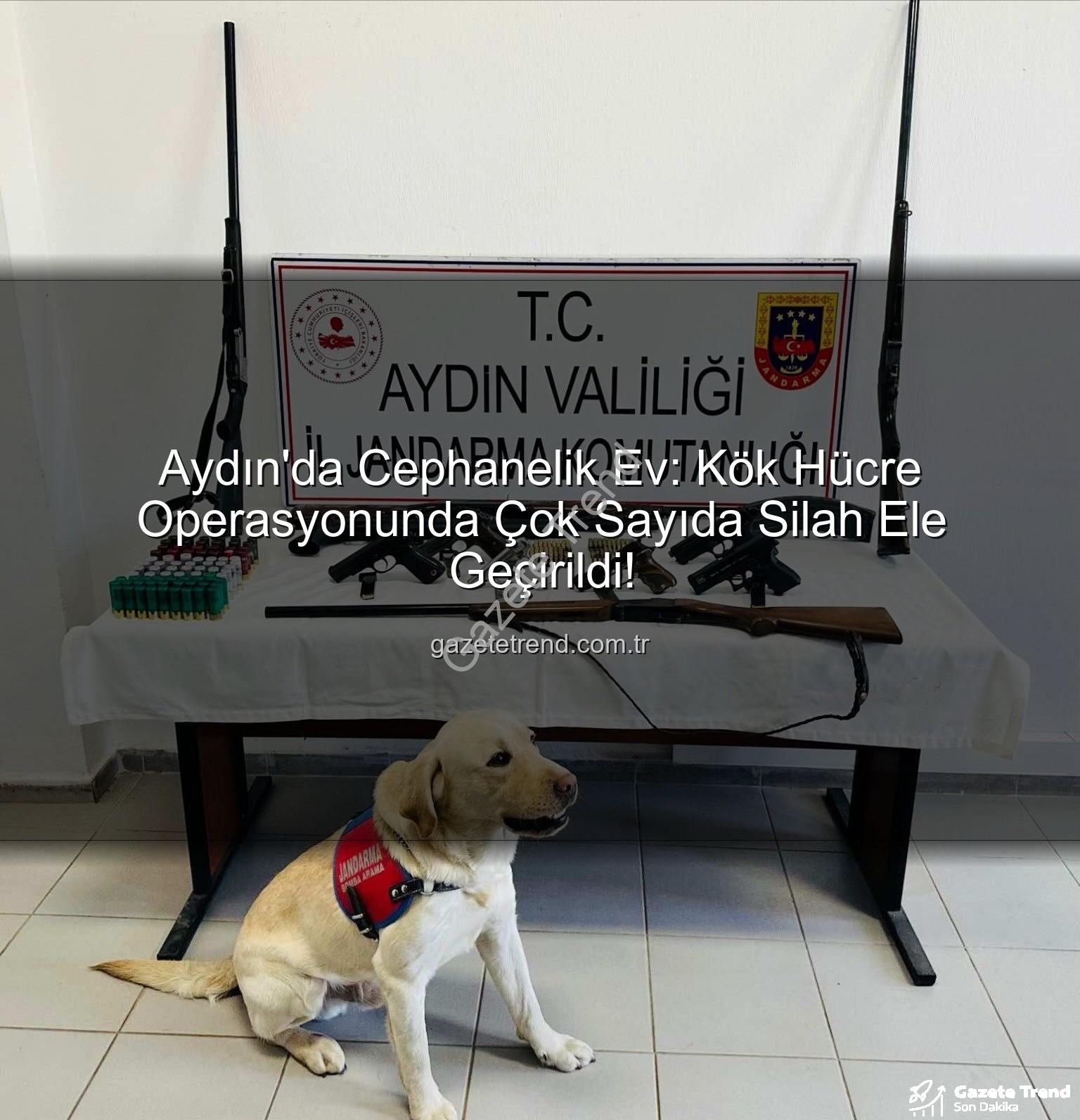 Aydın silah operasyonu - Aydın'da Cephanelik Ev: Kök Hücre Operasyonunda Çok Sayıda Silah Ele Geçirildi!
