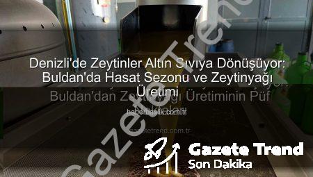 Denizli’de Zeytinler Altın Sıvıya Dönüşüyor: Buldan’dan Zeytinyağı Üretiminin Püf Noktaları