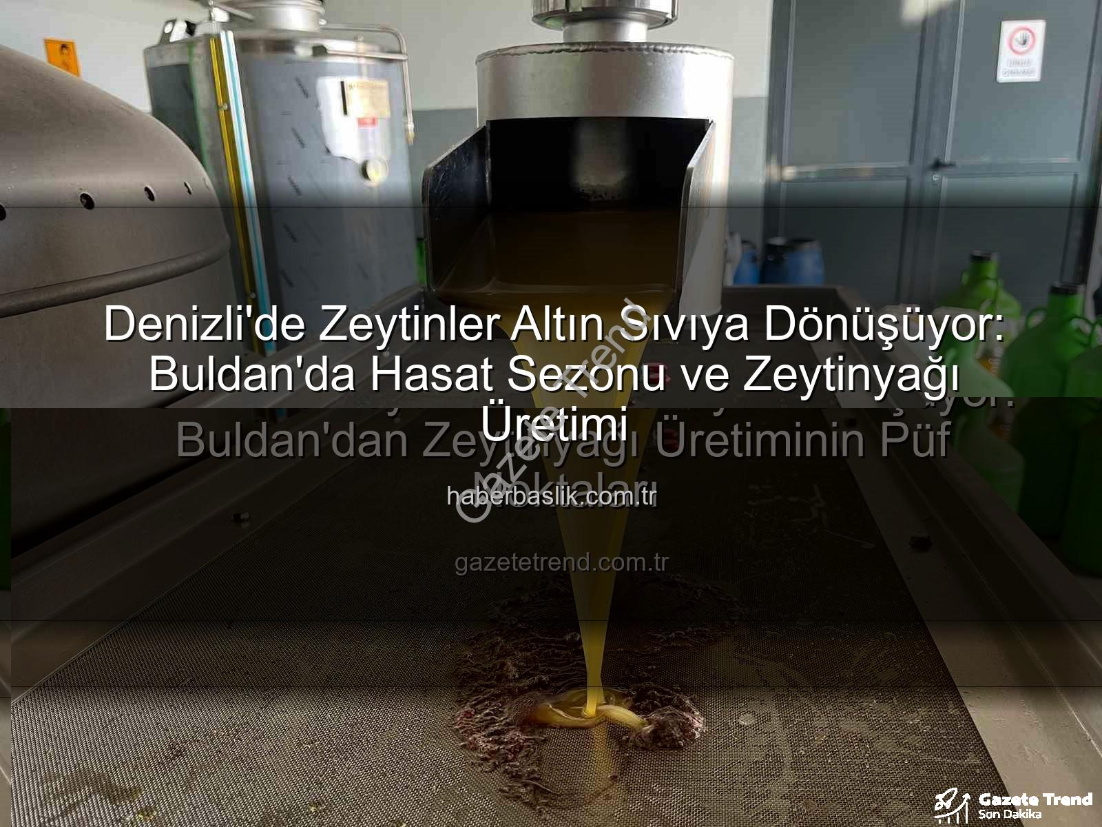 zeytinyağı üretimi - Denizli'de Zeytinler Altın Sıvıya Dönüşüyor: Buldan'dan Zeytinyağı Üretiminin Püf Noktaları