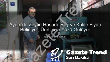 Aydın’da Zeytin Hasadı: Boy ve Kalite Fiyatı Belirliyor, Üreticinin Yüzü Gülüyor
