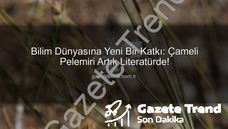 Bilim Dünyasına Yeni Bir Katkı: Çameli Pelemiri Artık Literatürde!
