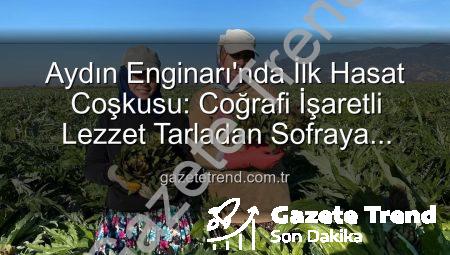 Aydın Enginarı’nda İlk Hasat Coşkusu: Coğrafi İşaretli Lezzet Tarladan Sofraya Yolculuğa Başladı