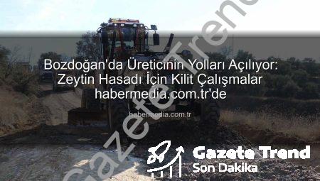Bozdoğan’da Zeytin Hasadı Öncesi Kilit Yollarda Kapsamlı İyileştirme: Üreticinin Yükü Hafifliyor