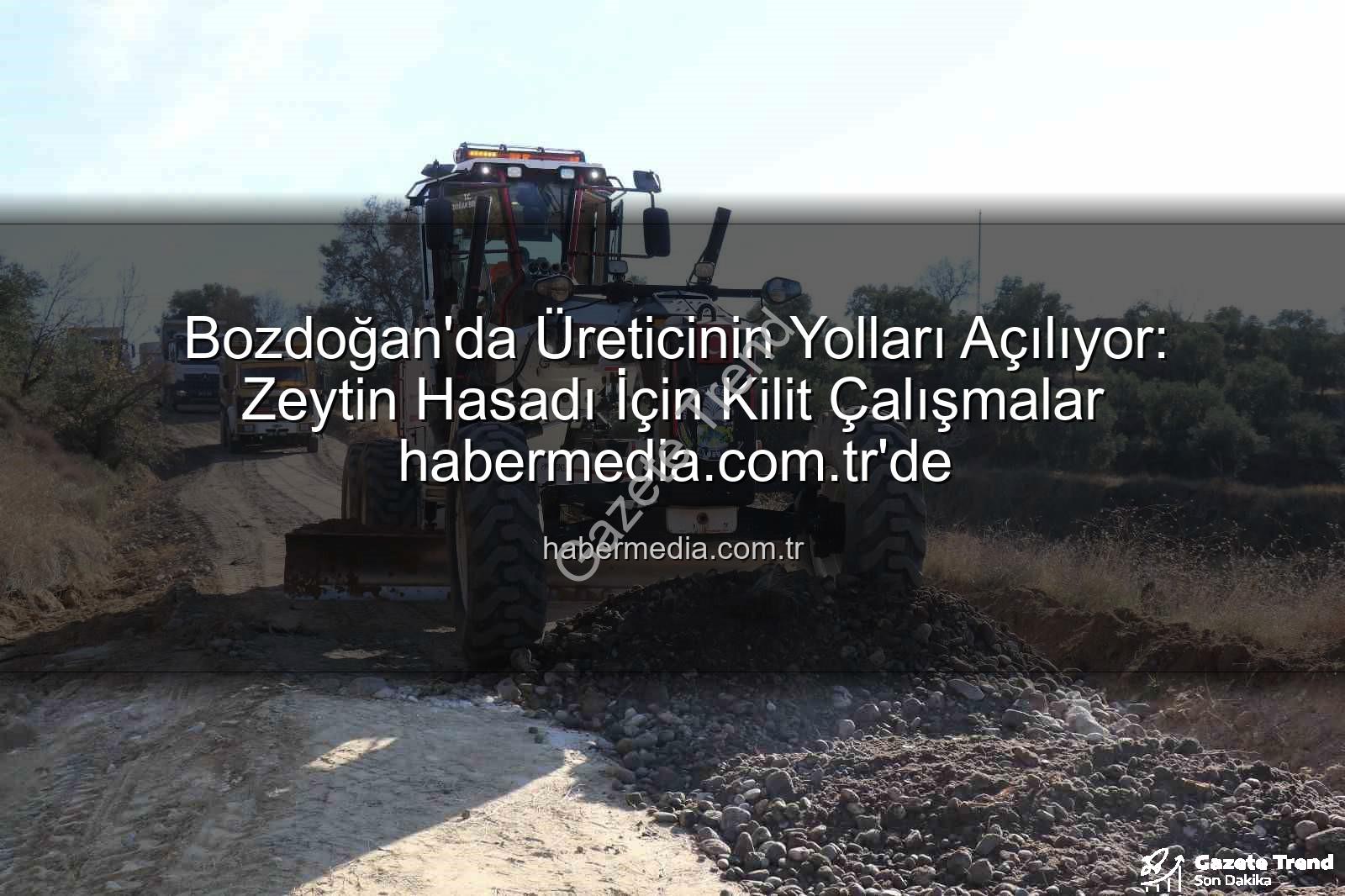 Bozdoğan üretici yolları - Bozdoğan'da Zeytin Hasadı Öncesi Kilit Yollarda Kapsamlı İyileştirme: Üreticinin Yükü Hafifliyor