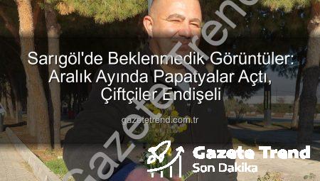 Sarıgöl’de Beklenmedik Görüntüler: Aralık Ayında Papatyalar Açtı, Çiftçiler Endişeli