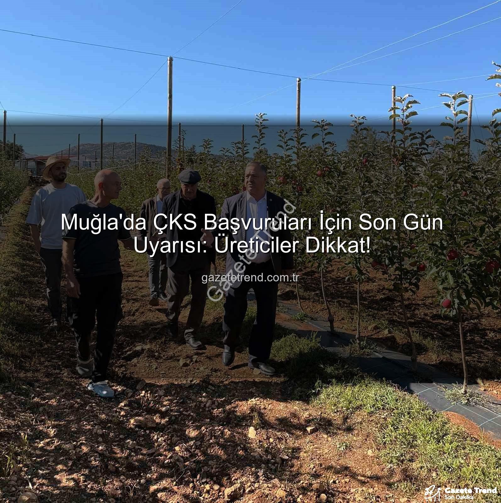 ÇKS başvuruları - Muğla'da ÇKS Başvuruları İçin Son Gün Uyarısı: Üreticiler Dikkat!